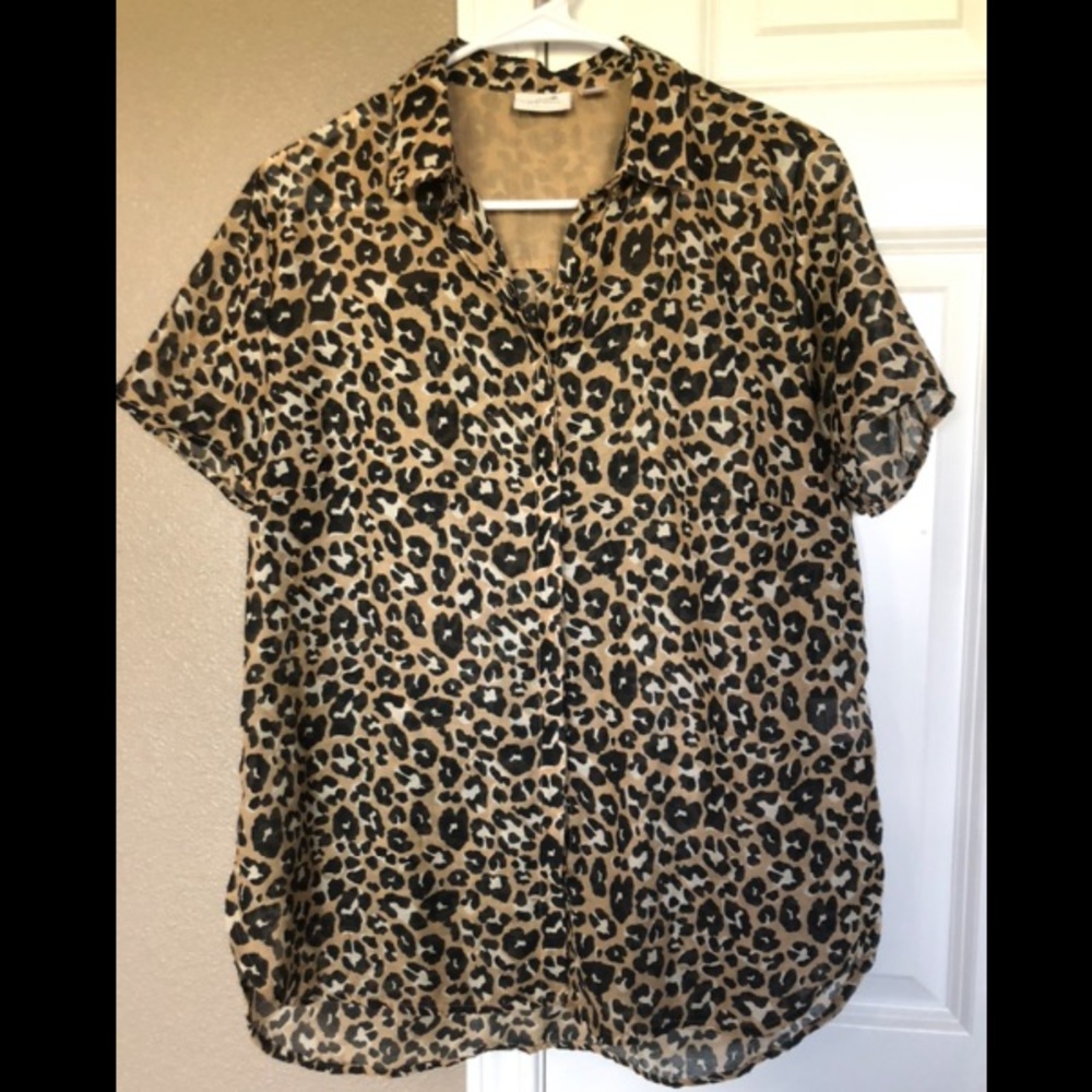 Jaclyn smith top